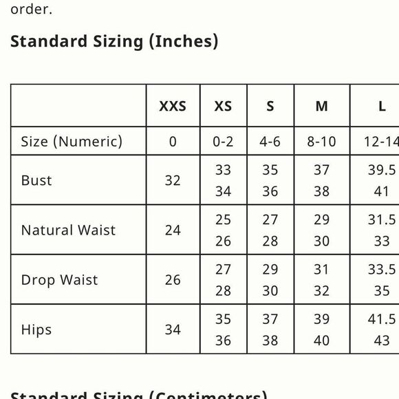 By Anthropologie NWT Tulle Skirt XXS - Picture 3 of 11